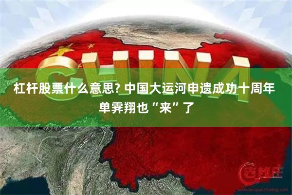 杠杆股票什么意思? 中国大运河申遗成功十周年 单霁翔也“来”了