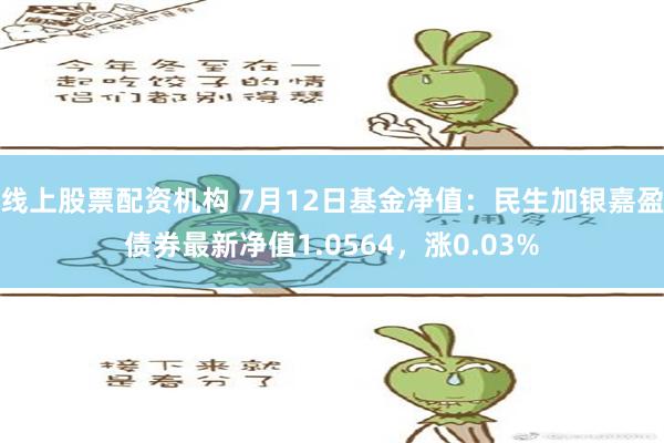 线上股票配资机构 7月12日基金净值：民生加银嘉盈债券最新净值1.0564，涨0.03%