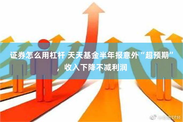 证券怎么用杠杆 天天基金半年报意外“超预期”，收入下降不减利润