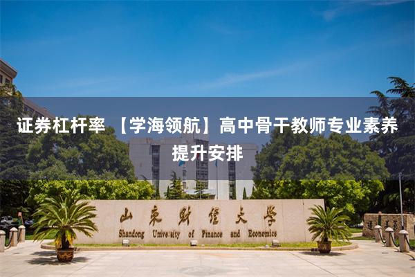 证券杠杆率 【学海领航】高中骨干教师专业素养提升安排