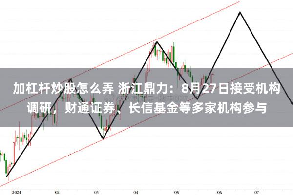 加杠杆炒股怎么弄 浙江鼎力：8月27日接受机构调研，财通证券、长信基金等多家机构参与