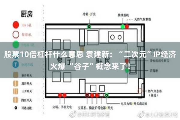 股票10倍杠杆什么意思 袁建新：“二次元”IP经济火爆 “谷子”概念来了！