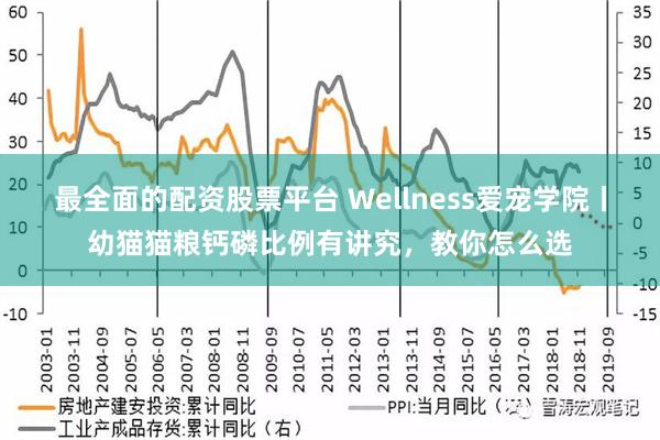 最全面的配资股票平台 Wellness爱宠学院丨幼猫猫粮钙磷比例有讲究，教你怎么选